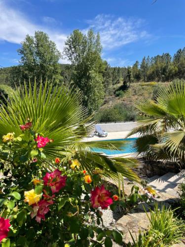 Casa Pollard — 4-Star Luxury Hotel in Marvao, Portugal