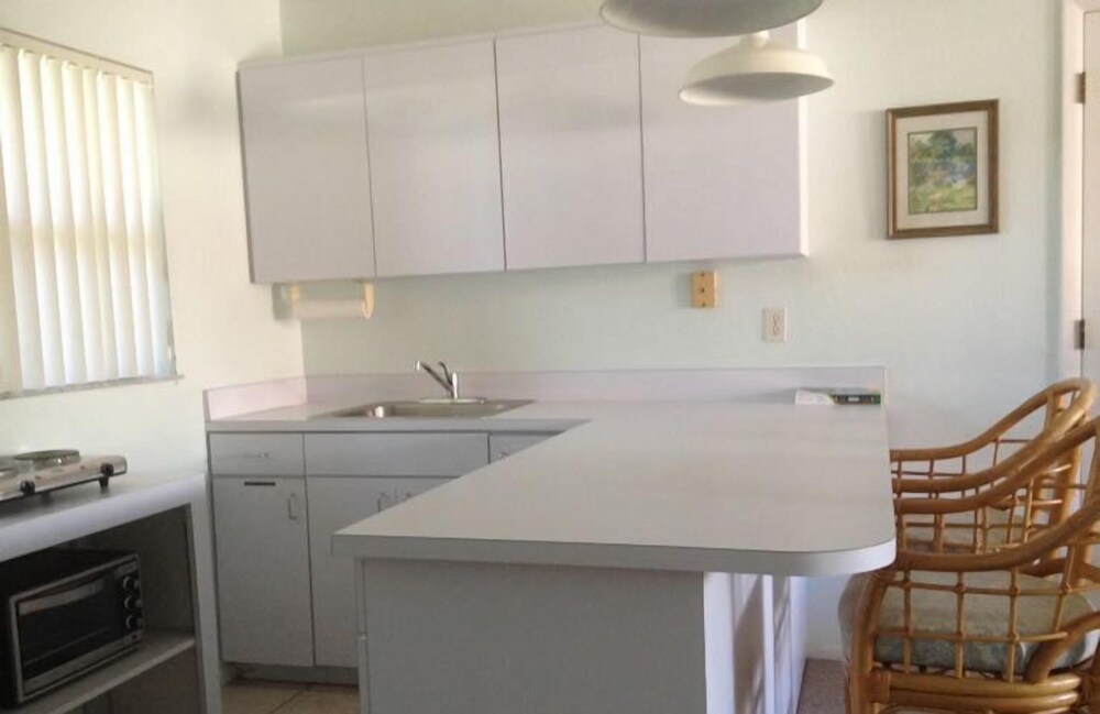 Palm Terrace - photo 21