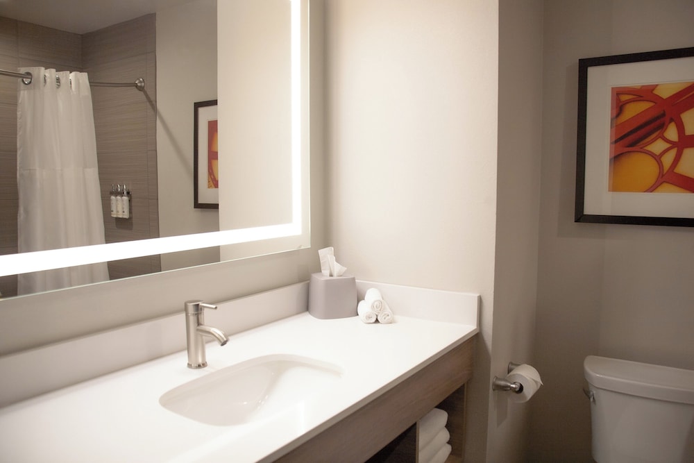 Holiday Inn Express and Suites Overland Park by IHG - photo 7