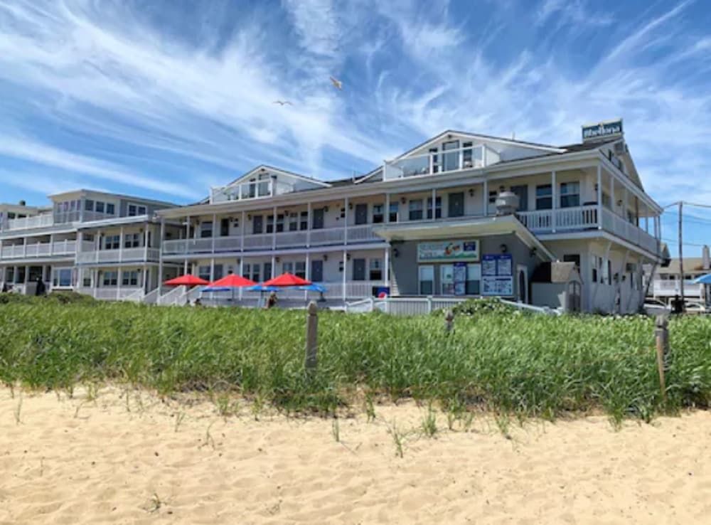 Abellona Inn & Suites - photo 16