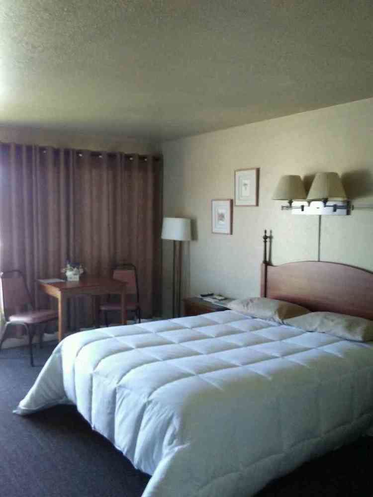 Dave's Hideaway - photo 10