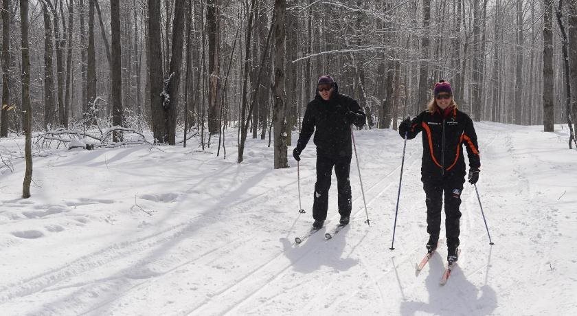 Stratton Mountain Resort - photo 18