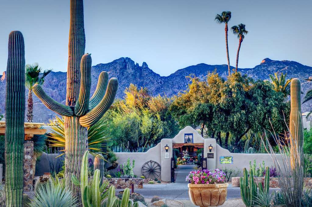 Hacienda Del Sol Guest Ranch Resort - featured photo
