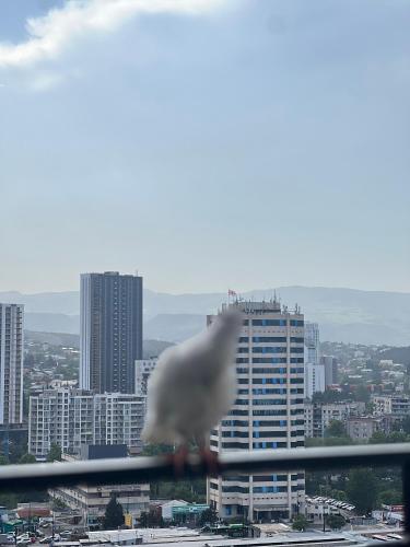 Apartment in Tbilisi near Didube metro station