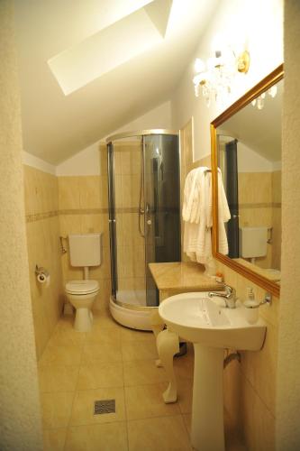 Villa Boierului — Ramnicu Valcea — photo 5