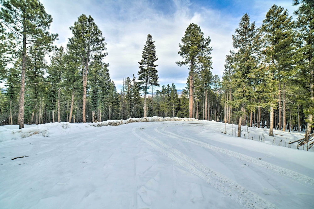 Woodsy Mountain Cabin: 2 Mi to Angel Fire Resort - photo 18