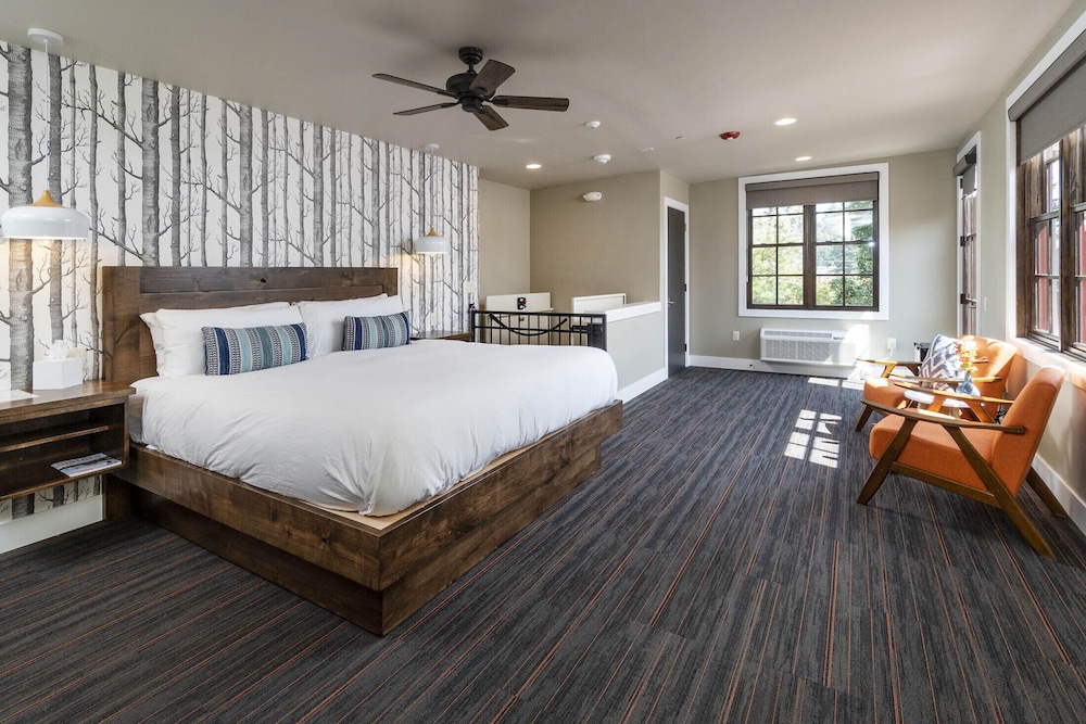 Ski Inn Taphouse Hotel - photo 8