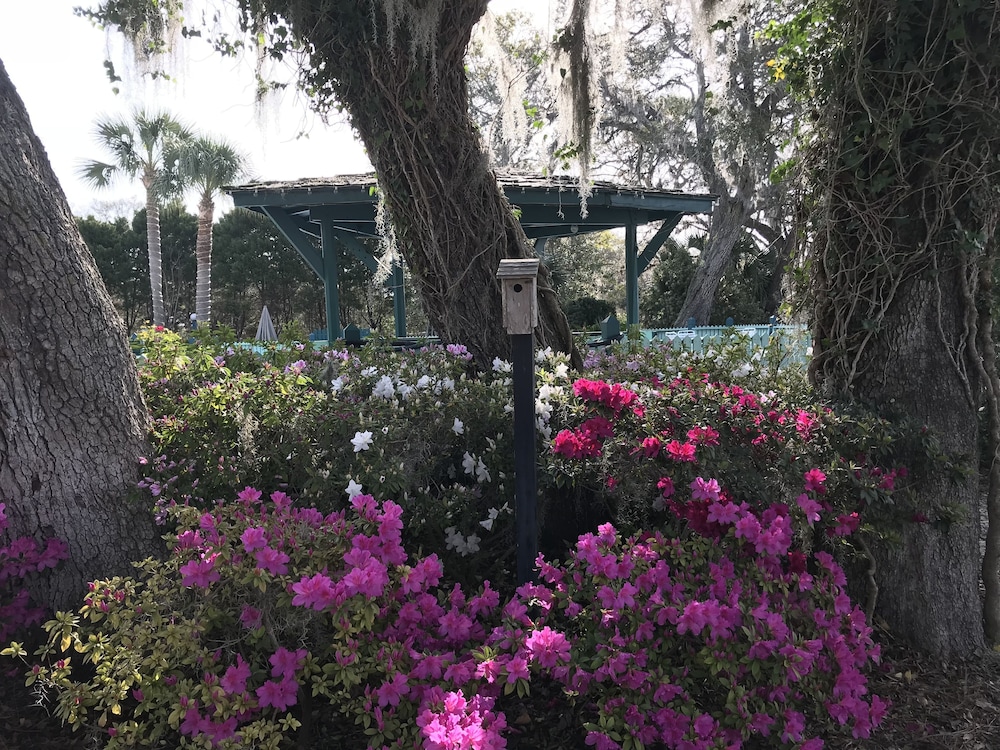 Steinhatchee River Inn - photo 91