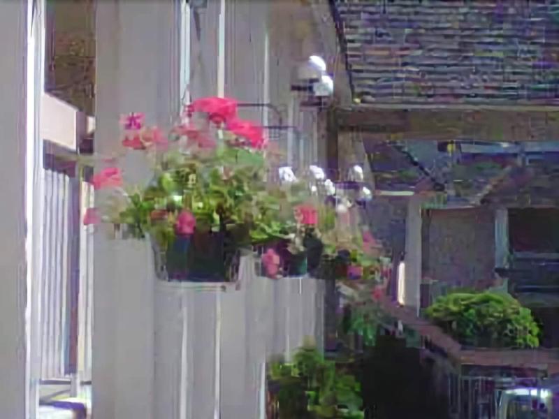 Caravelle Inn Suites - photo 5
