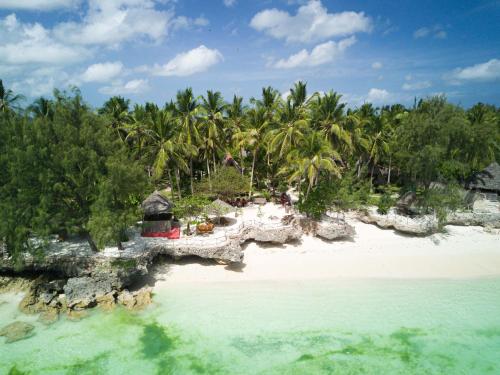 Coco Reef Ecolodge — Zanzibar — photo 3