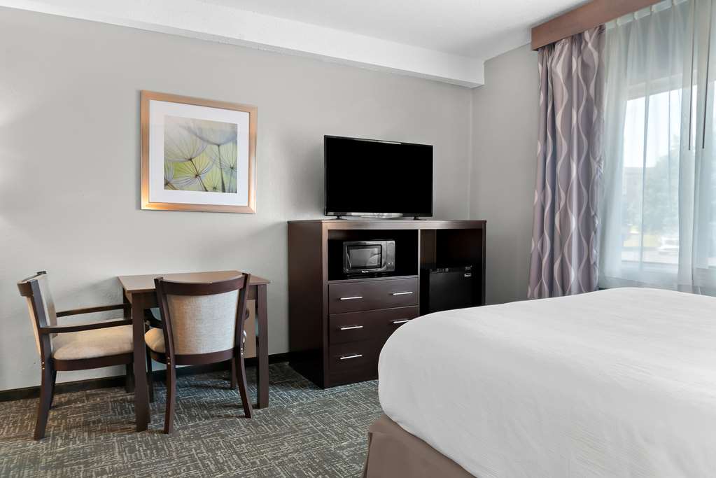 Best Western Plus Flint Airport Inn & Suites - photo 18
