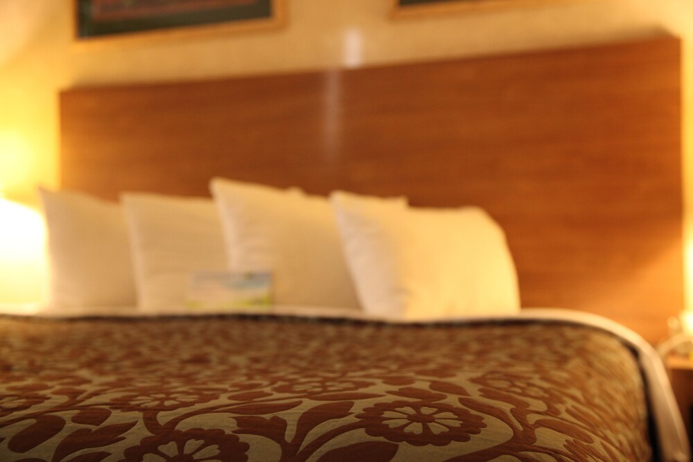 Comfort Inn & Suites Golden Denver West - photo 12