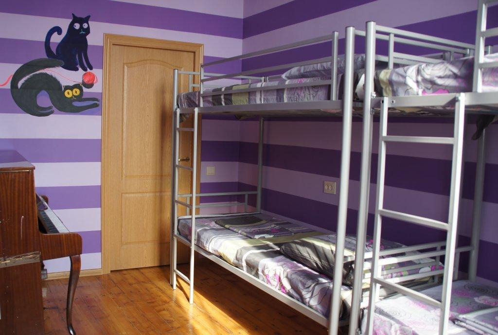 Kind Cat - last minute hotel in Moscow