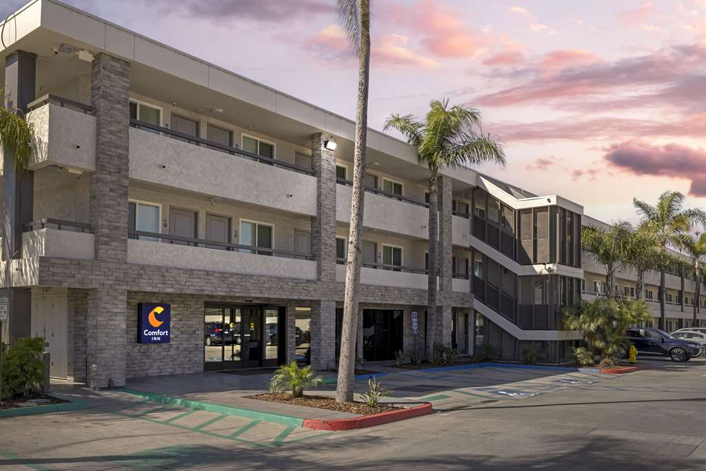 Comfort Inn Sea World Area - photo 3