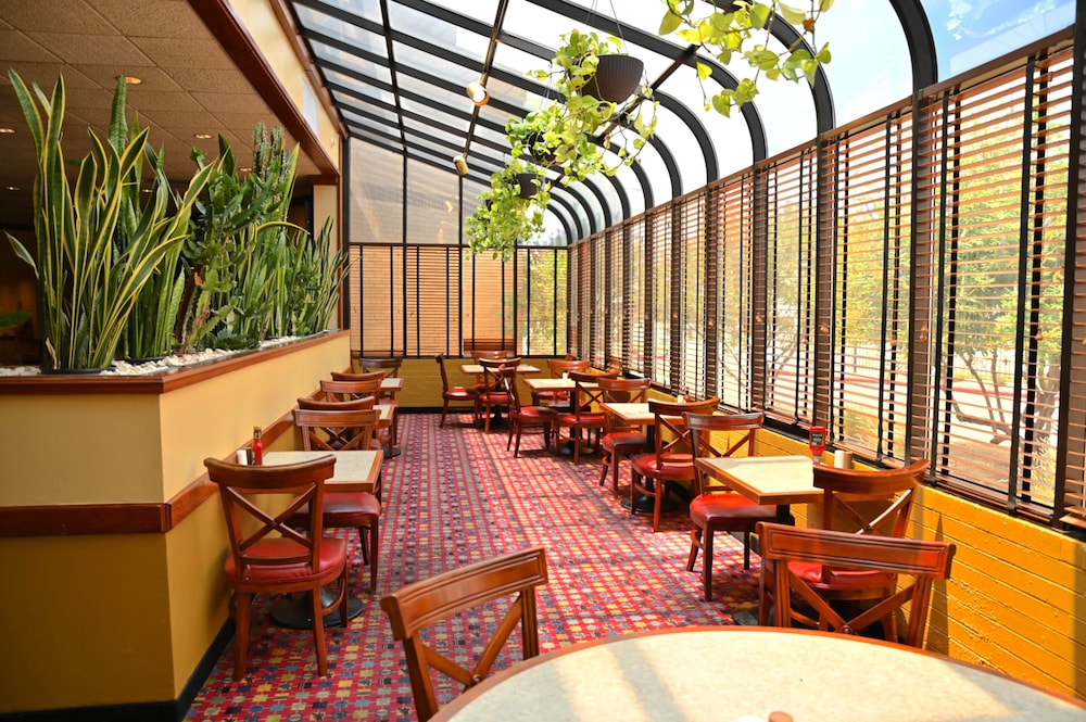 MCM Eleganté Hotel & Suites - photo 34