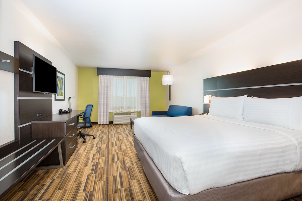 Holiday Inn Express & Suites Rapid City Rushmore South by IHG - photo 9