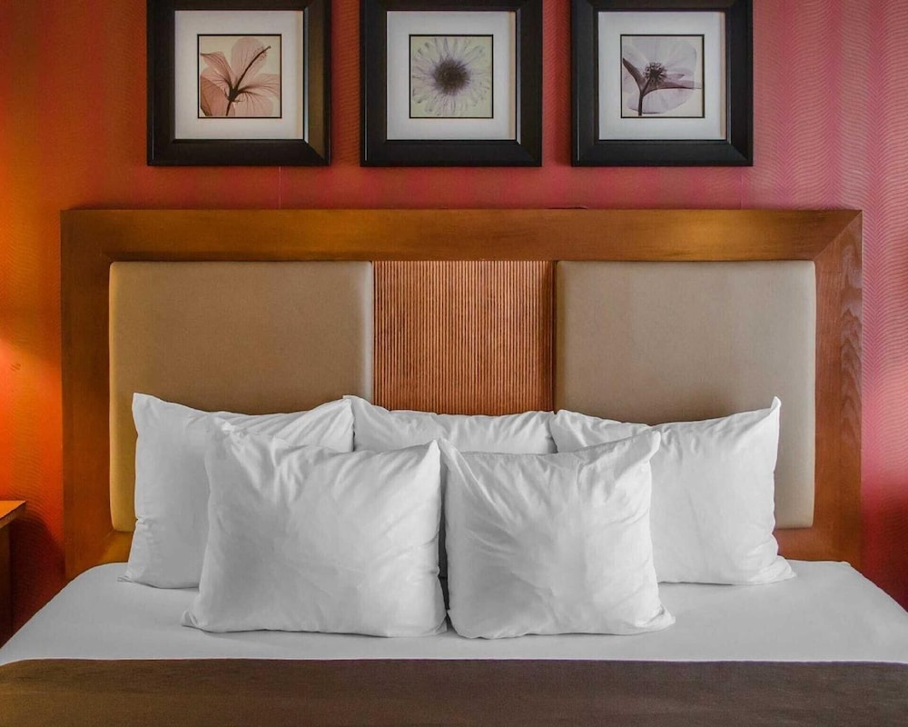 Hotel Hanna - photo 10
