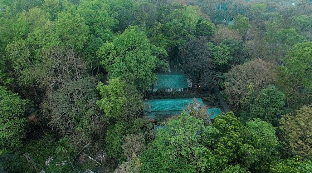 Wild Mahseer in Tezpur, India