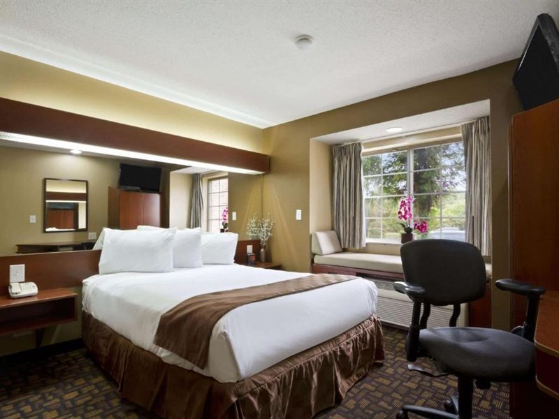 Microtel Inn & Suites by Wyndham Lithonia Stone Mountain - photo 10