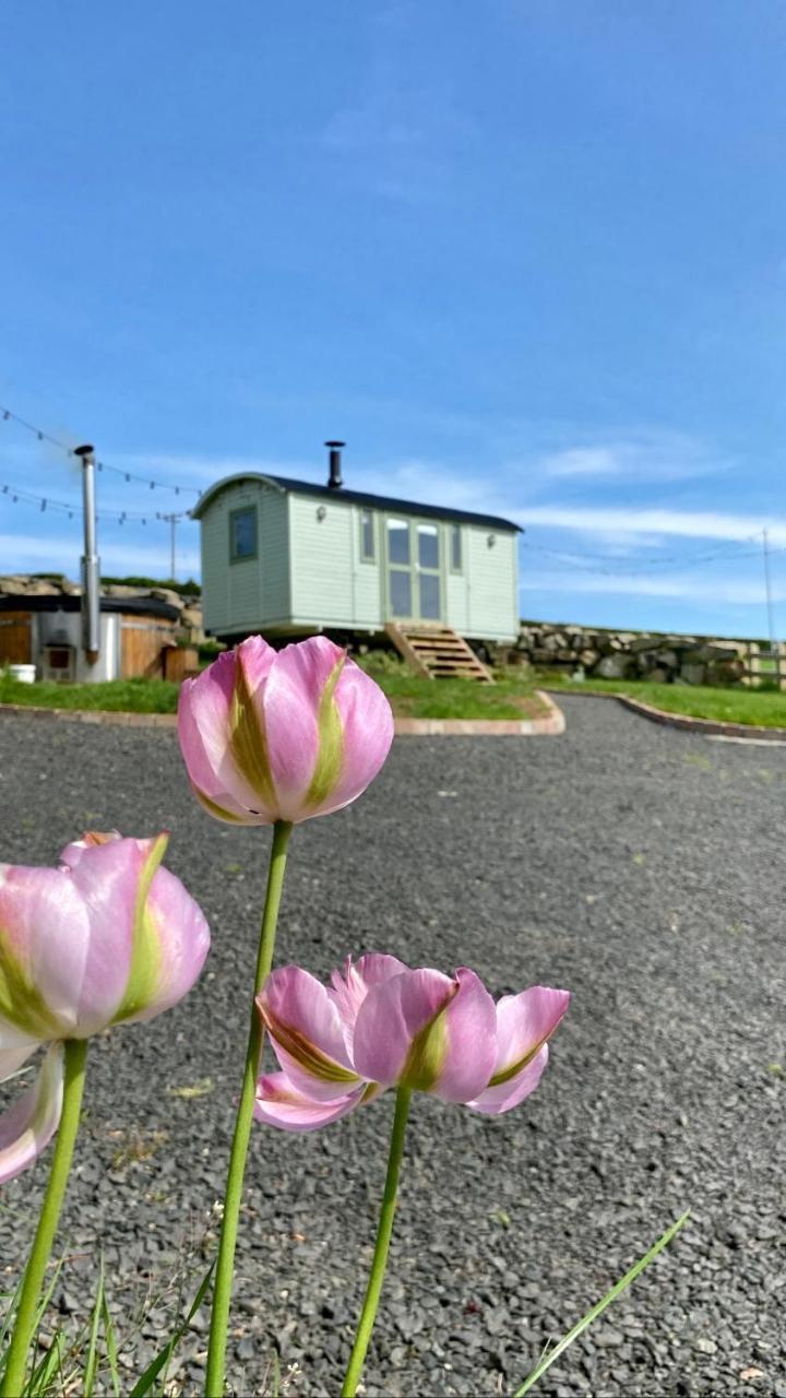 The Stone Wall Hideaway — Portglenone