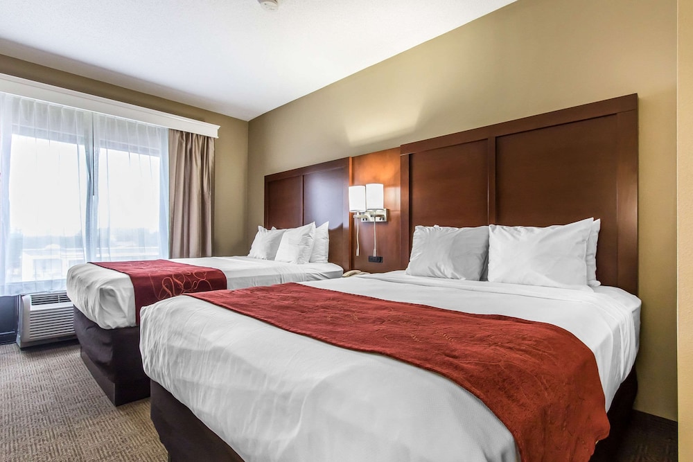 Comfort Suites Effingham Central - photo 6
