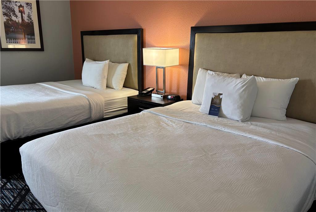 Baymont by Wyndham Litchfield - photo 8