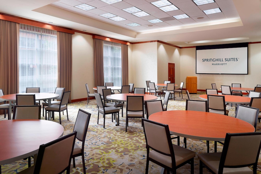 SpringHill Suites by Marriott Atlanta Buckhead - photo 20