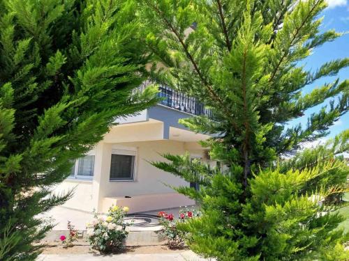 Erofilio in Keramoti, Greece