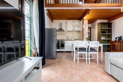 Morning Glory in Fiumicino-Isola Sacra, Italy