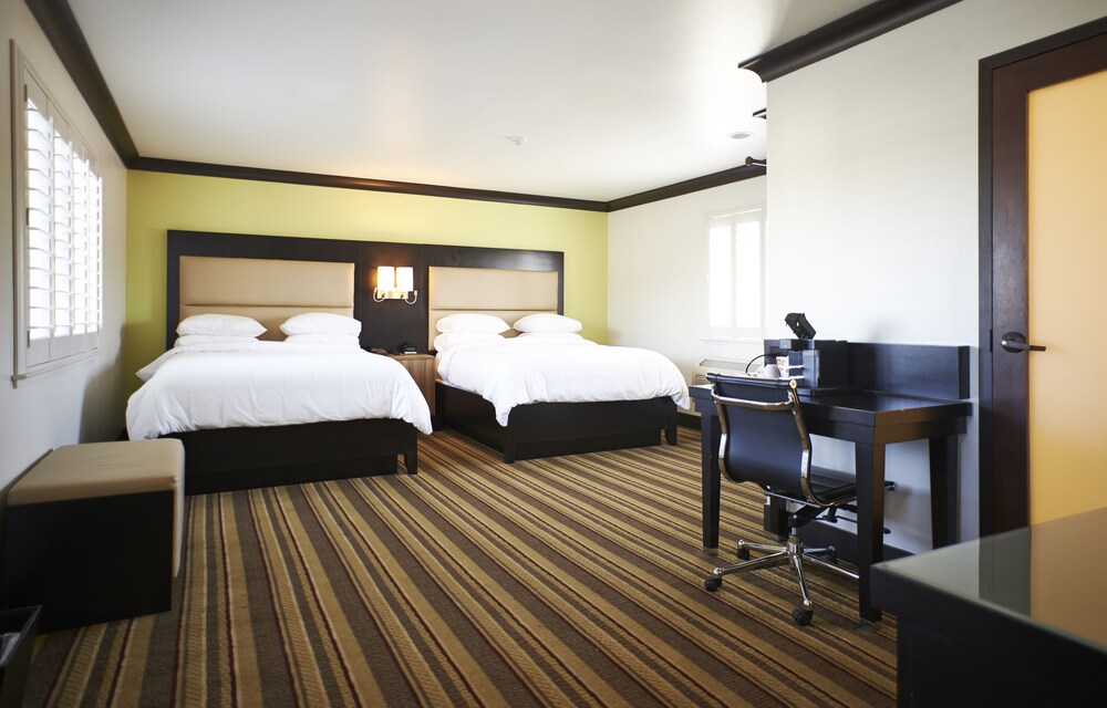 Hotel Azura - photo 5
