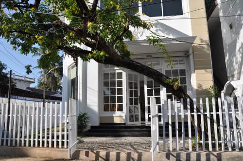 Daffodils Spice Court