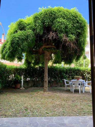 La casa del salice — Francavilla Al Mare — photo 4