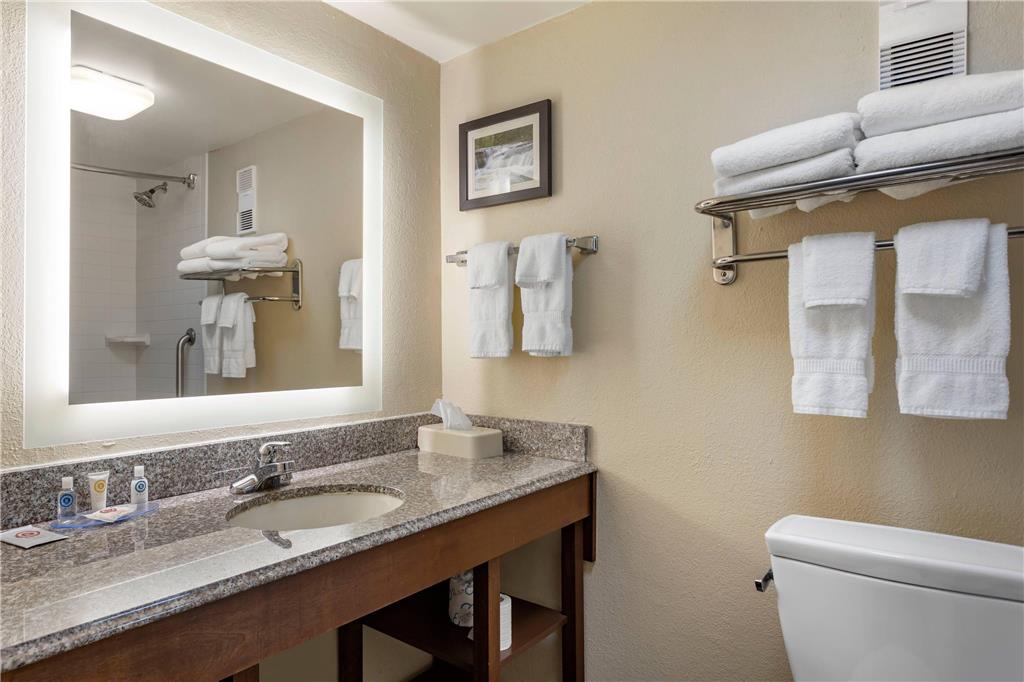 Comfort Inn & Suites Little Rock Airport - photo 25