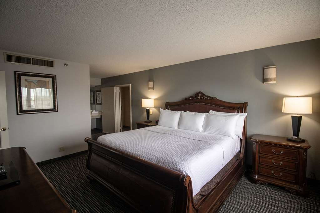 Wyndham Houston near NRG Park Medical Center - photo 21