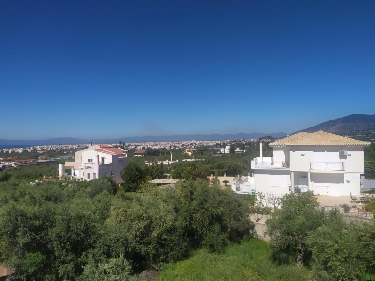 Olive Heaven — Kalamata — photo 5