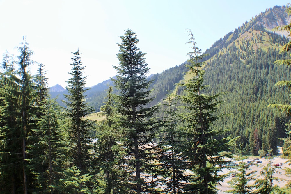 Crystal Chalets Condominiums at Crystal Mountain Ski Resort - photo 176