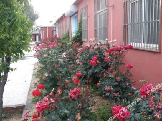 Fenglingyaju in Suizhong, People's Republic of China