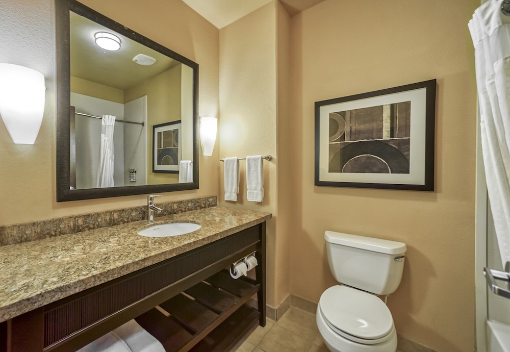 Holiday Inn Express Suites Beeville by IHG - photo 25