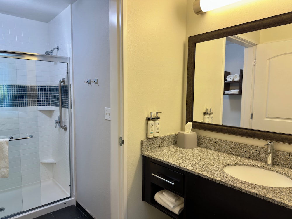 Staybridge Suites Carlsbad by IHG - photo 34