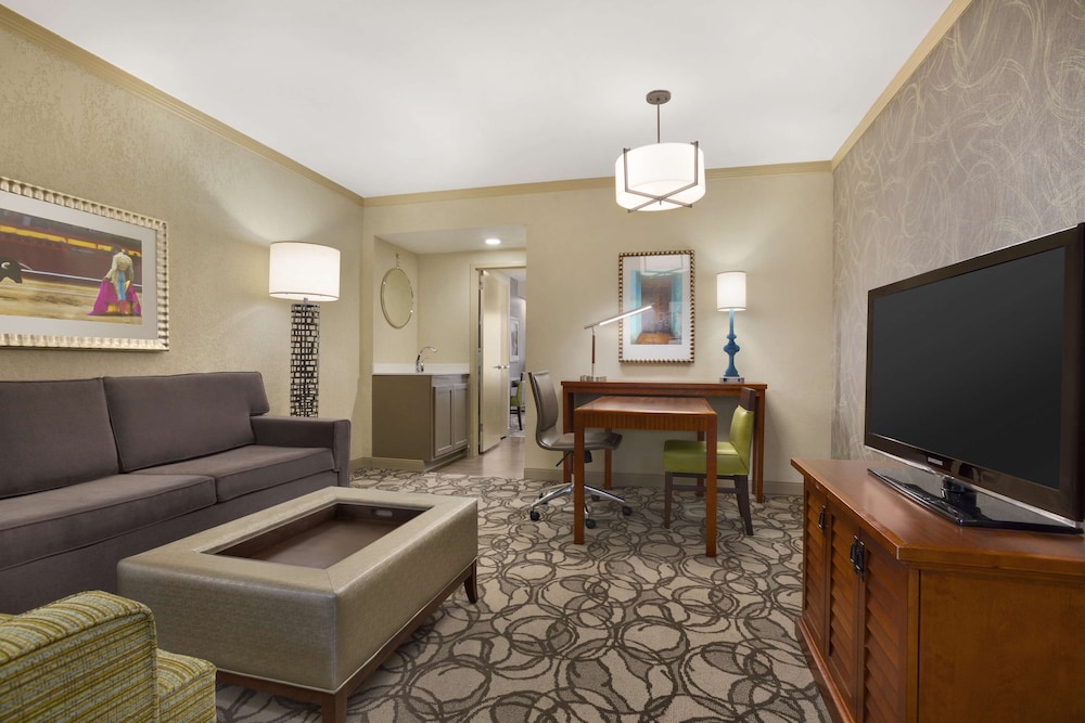 Embassy Suites by Hilton San Antonio Airport - photo 19