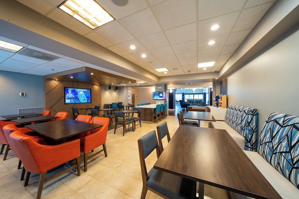 Holiday Inn Express Hotel & Suites Tampa Northwest Oldsmar by IHG - photo 45