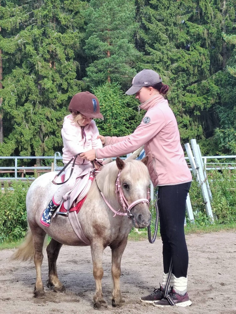 Riverfront Cottageee in Aeaenekoski, Finland