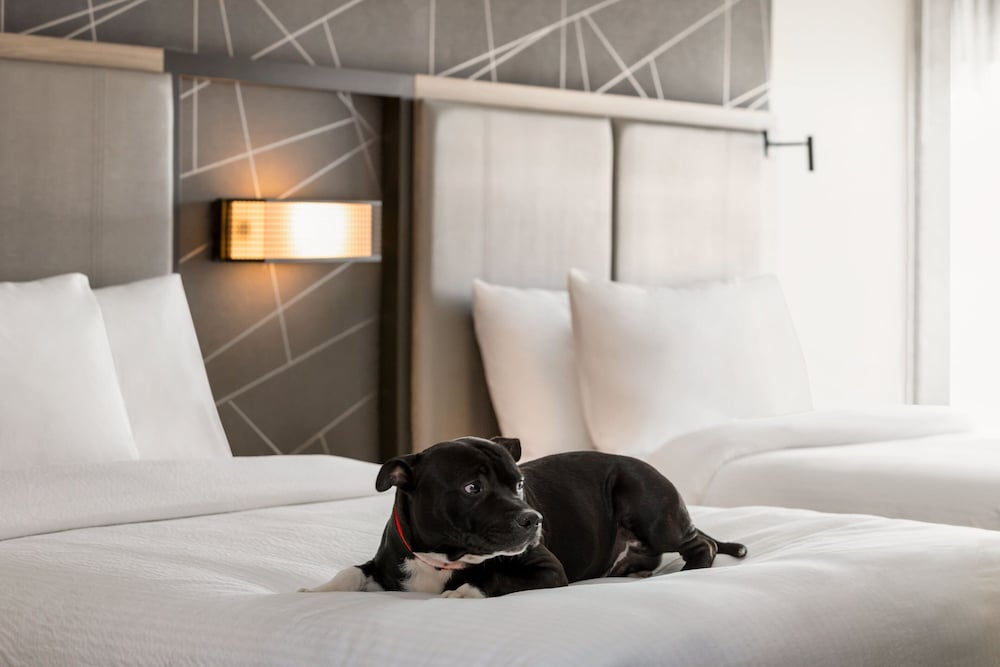 SpringHill Suites Camp Hill - photo 28