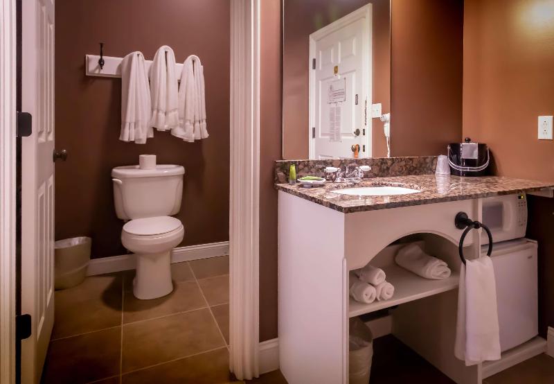 Depot Inn and Suites - photo 33