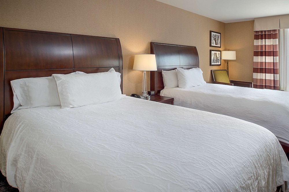 Hilton Garden Inn St. Louis Airport - photo 9