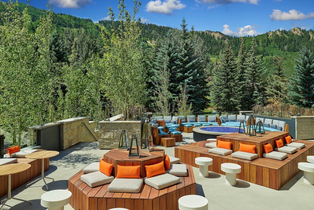 The Sky Residences at W Aspen - photo 19