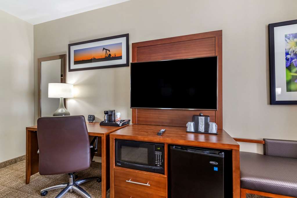 Comfort Suites Buda Austin South - photo 21