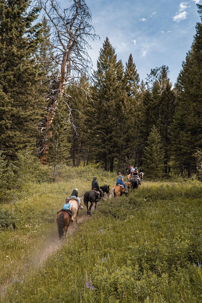 Heart 6 Ranch - photo 68