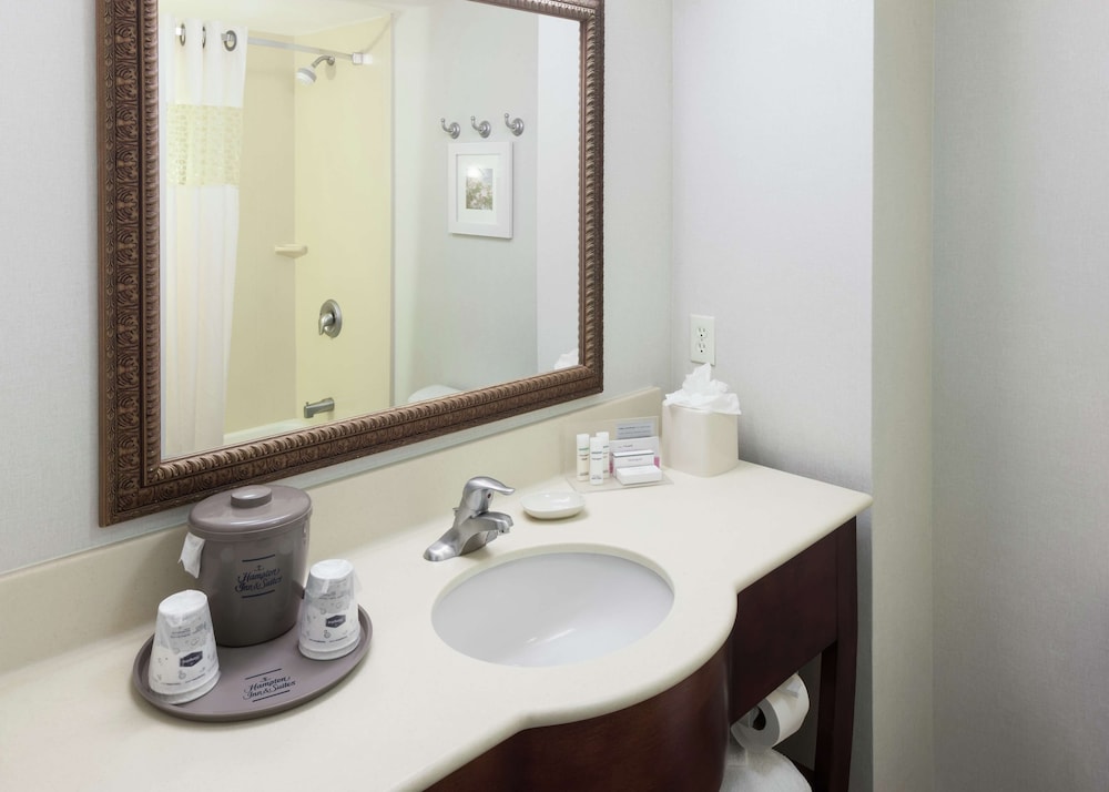 Hampton Inn & Suites Westford Chelmsford - photo 21