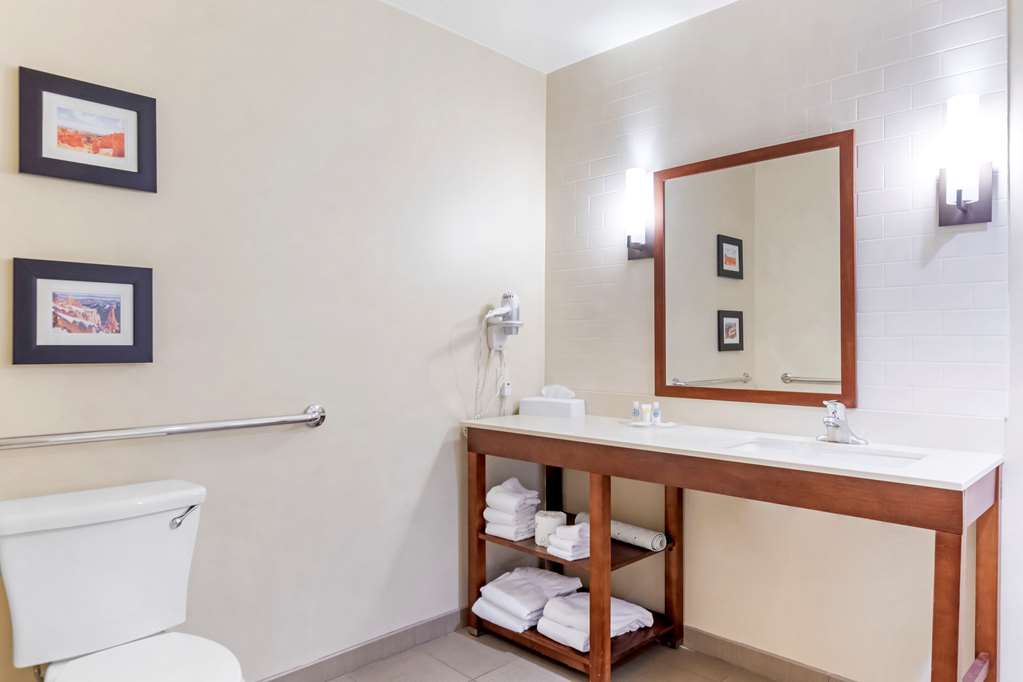 Comfort Suites St George University Area - photo 13